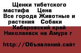 Щенки тибетского мастифа. › Цена ­ 30 000 - Все города Животные и растения » Собаки   . Хабаровский край,Николаевск-на-Амуре г.